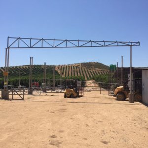 whatsapp image 2025 09 02 at 7.50.34 pm (1)