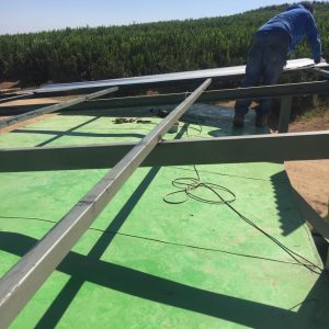 whatsapp image 2025 09 02 at 7.50.37 pm (1)