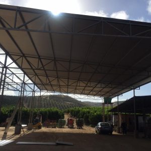 whatsapp image 2025 09 02 at 7.50.37 pm (2)