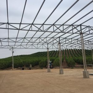 whatsapp image 2025 09 02 at 7.50.37 pm (3)